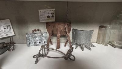 PRIMITIVE CALF WEANING ITEMS