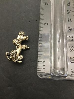 Sale Photo Thumbnail #234: Very cute Silvertone poodle brought by Gerry’s . Please see attached photos.