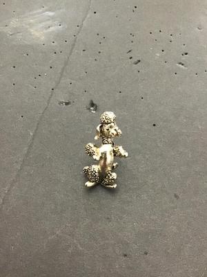 Sale Photo Thumbnail #232: Very cute Silvertone poodle brought by Gerry’s . Please see attached photos.