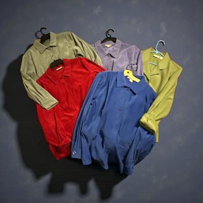 Lot of 5 Women's Soft Appleseeds Petite Long Sleeve Shirts