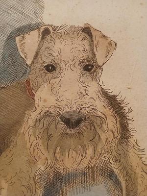 Sale Photo Thumbnail #346: 17" x 20"