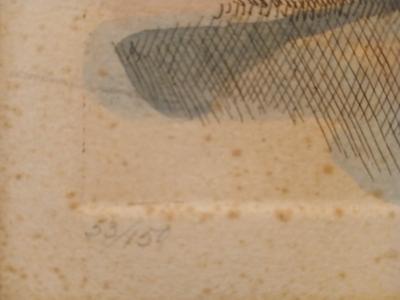 Sale Photo Thumbnail #345: 17" x 20"