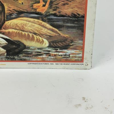 Sale Photo Thumbnail #424