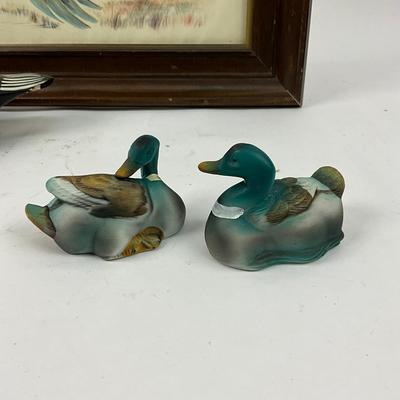 754 Waterfowl Duck Lot