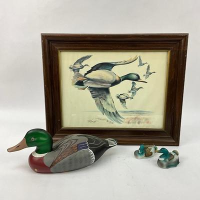 754 Waterfowl Duck Lot