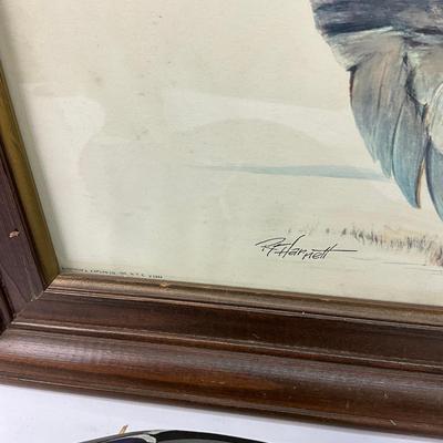 754 Waterfowl Duck Lot