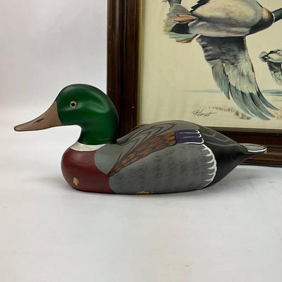 754 Waterfowl Duck Lot