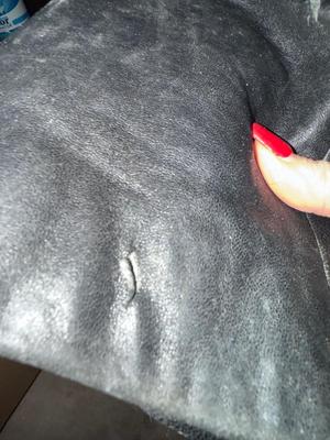 Sale Photo Thumbnail #133