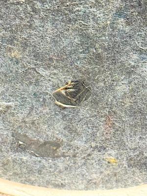 Sale Photo Thumbnail #72