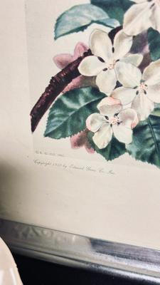 UNIQUE HANDD CARVED BIRDS, CERAMIC SQUIRREL, BEAR. GLASS SQUIRREL, AND ROBIN PICTURE