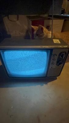 Sale Photo Thumbnail #347