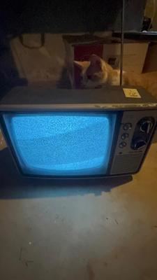 Sale Photo Thumbnail #346