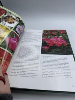 Sale Photo Thumbnail #392