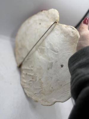 Sale Photo Thumbnail #445