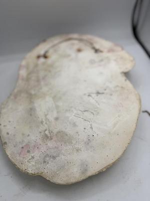 Sale Photo Thumbnail #448