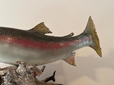 TAXIDERMY RAINBOW TROUT MOUNT ON DRIFTWOOD