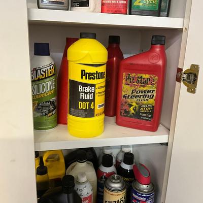 1036 Assortment Of Oils, Grease And Auto Lubricants