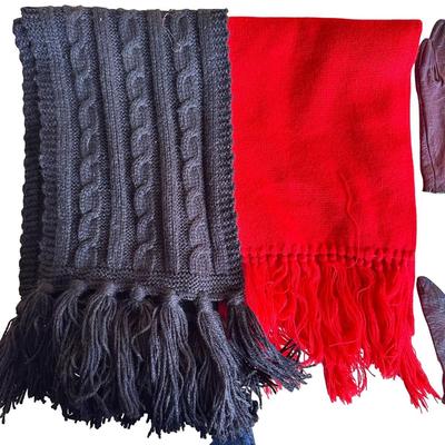 Winter Women's Lot- Knit Beanies, Gloves (Small), Scarves