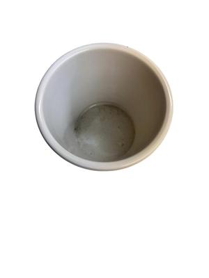 White Ceramic Bathroom Trashcan/Wastecan or Planter