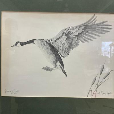 1051 Four Signed Waterfowl Prints