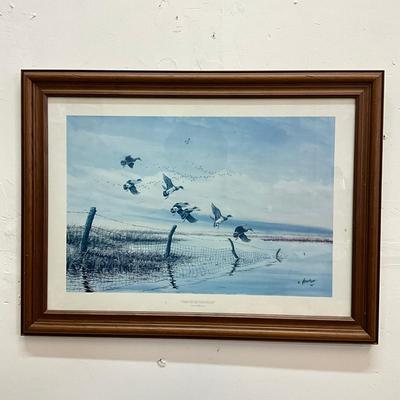 1051 Four Signed Waterfowl Prints