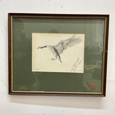 1051 Four Signed Waterfowl Prints