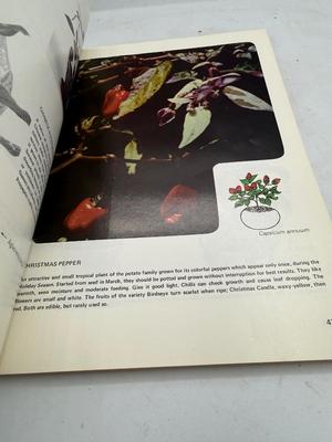 Houseplants book