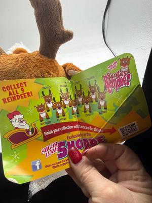 Set of Santa’s reindeer