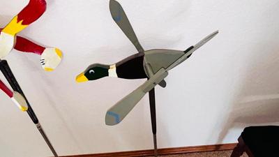 THE ROADRUNNER AND THE MALLARD FLYERS YARD ART