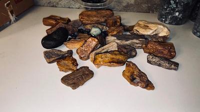 PETRIFIED WOOD AND OTHER STONES