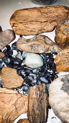 PETRIFIED WOOD AND OTHER STONES