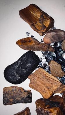 PETRIFIED WOOD AND OTHER STONES