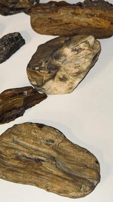 PETRIFIED WOOD AND OTHER STONES