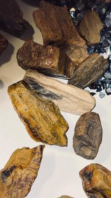 PETRIFIED WOOD AND OTHER STONES
