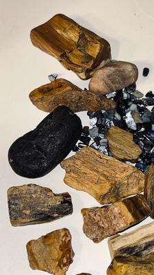 PETRIFIED WOOD AND OTHER STONES