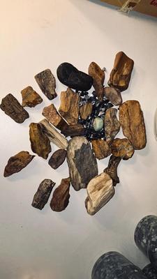 PETRIFIED WOOD AND OTHER STONES