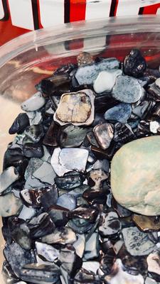 PETRIFIED WOOD AND OTHER STONES