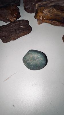 PETRIFIED WOOD AND OTHER STONES