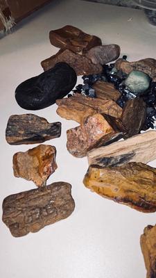 PETRIFIED WOOD AND OTHER STONES