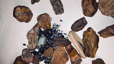 PETRIFIED WOOD AND OTHER STONES