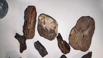 PETRIFIED WOOD AND OTHER STONES