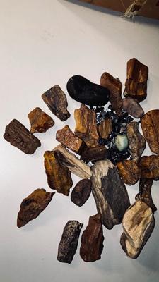 PETRIFIED WOOD AND OTHER STONES