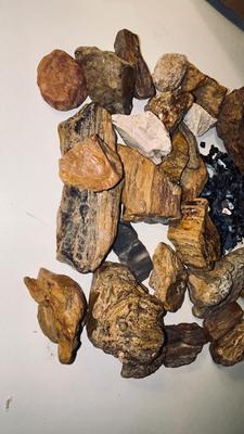 PETRIFIED WOOD AND IRIDESCENT STONES