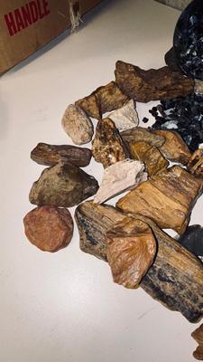 PETRIFIED WOOD AND IRIDESCENT STONES