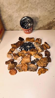 PETRIFIED WOOD AND IRIDESCENT STONES