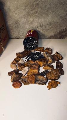 PETRIFIED WOOD AND IRIDESCENT STONES