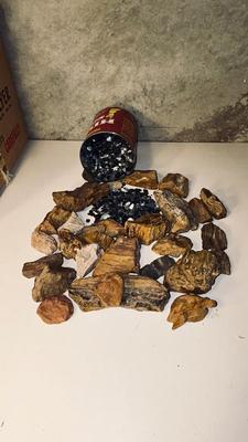 PETRIFIED WOOD AND IRIDESCENT STONES