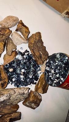 PETRIFIED WOOD AND IRIDESCENT STONES