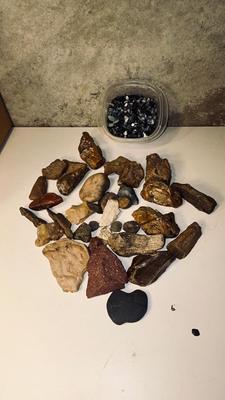 MORE PETRIFIED WOOD AND STONES