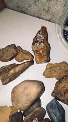 MORE PETRIFIED WOOD AND STONES